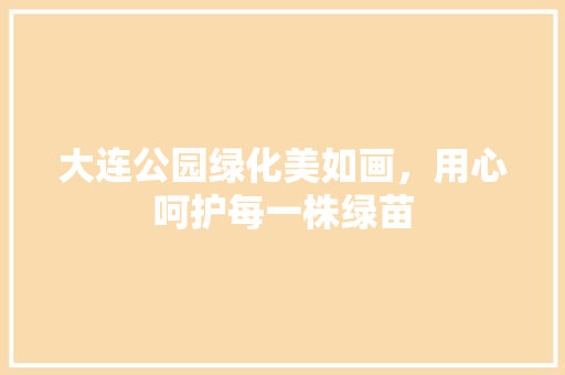 大连公园绿化美如画，用心呵护每一株绿苗