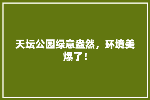 天坛公园绿意盎然，环境美爆了！