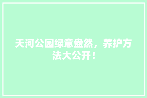 天河公园绿意盎然，养护方法大公开！