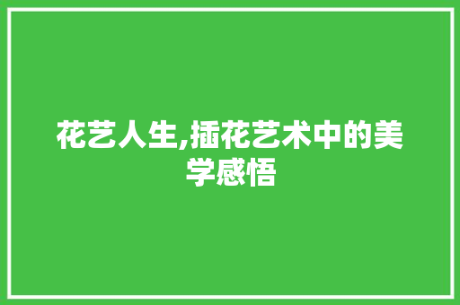 花艺人生,插花艺术中的美学感悟