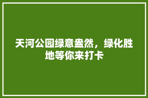 天河公园绿意盎然，绿化胜地等你来打卡