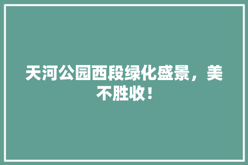天河公园西段绿化盛景，美不胜收！