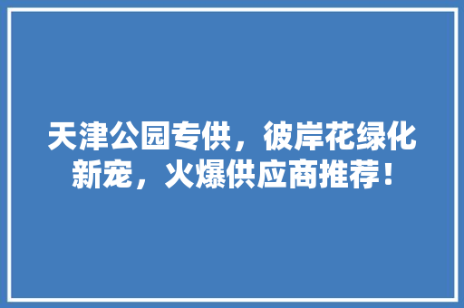天津公园专供，彼岸花绿化新宠，火爆供应商推荐！