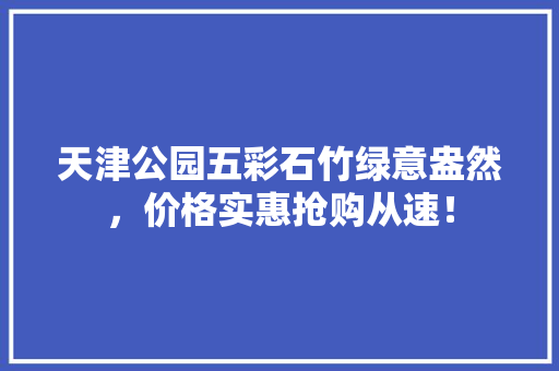 天津公园五彩石竹绿意盎然，价格实惠抢购从速！