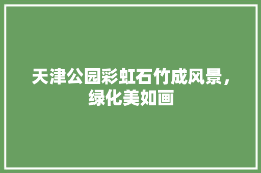 天津公园彩虹石竹成风景，绿化美如画