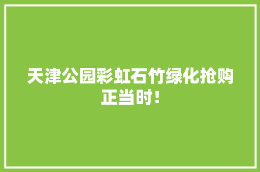 天津公园彩虹石竹绿化抢购正当时！