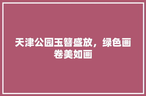 天津公园玉簪盛放，绿色画卷美如画 无土育苗
