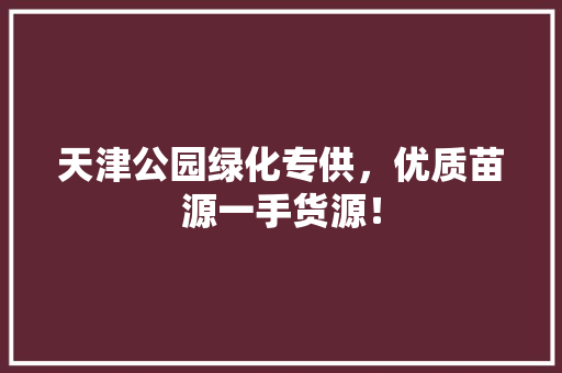 天津公园绿化专供，优质苗源一手货源！