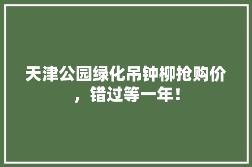 天津公园绿化吊钟柳抢购价，错过等一年！