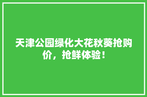 天津公园绿化大花秋葵抢购价，抢鲜体验！
