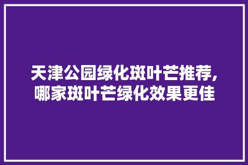 天津公园绿化斑叶芒推荐,哪家斑叶芒绿化效果更佳