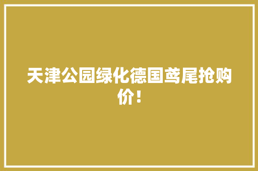天津公园绿化德国鸢尾抢购价！