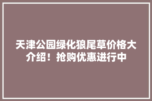 天津公园绿化狼尾草价格大介绍！抢购优惠进行中