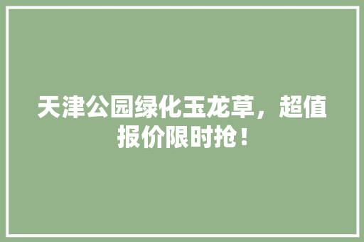 天津公园绿化玉龙草，超值报价限时抢！