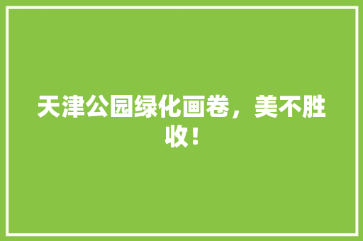 天津公园绿化画卷，美不胜收！