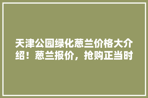 天津公园绿化葱兰价格大介绍！葱兰报价，抢购正当时！