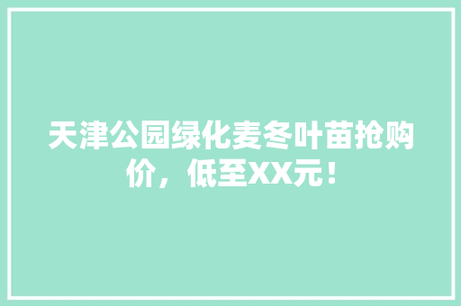 天津公园绿化麦冬叶苗抢购价，低至XX元！
