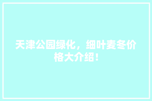 天津公园绿化，细叶麦冬价格大介绍！