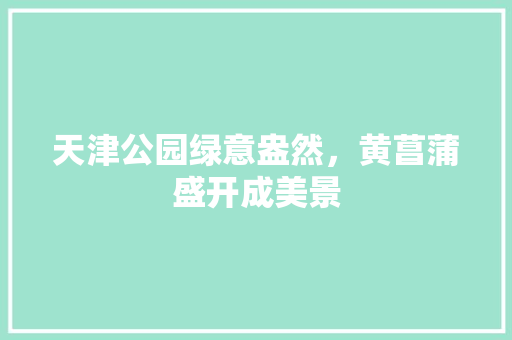 天津公园绿意盎然，黄菖蒲盛开成美景