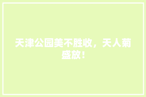 天津公园美不胜收，天人菊盛放！