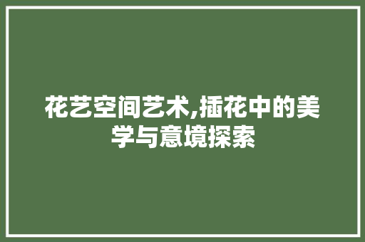 花艺空间艺术,插花中的美学与意境探索