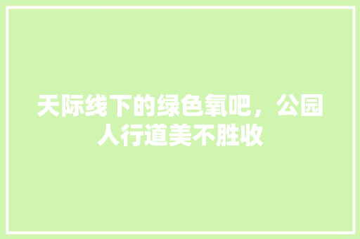 天际线下的绿色氧吧，公园人行道美不胜收