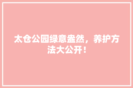 太仓公园绿意盎然，养护方法大公开！
