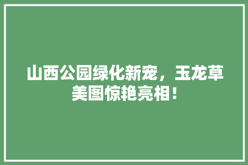 山西公园绿化新宠，玉龙草美图惊艳亮相！