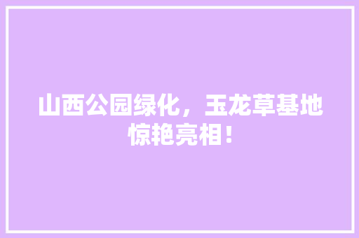 山西公园绿化，玉龙草基地惊艳亮相！