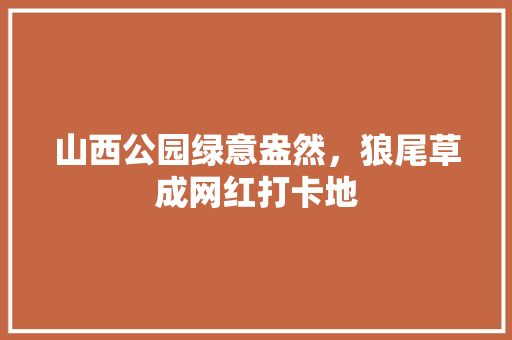 山西公园绿意盎然，狼尾草成网红打卡地