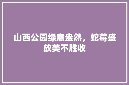 山西公园绿意盎然，蛇莓盛放美不胜收