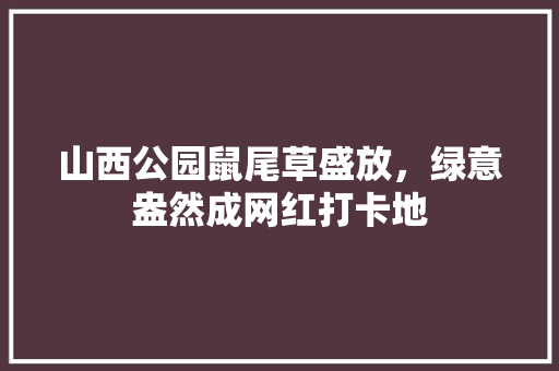 山西公园鼠尾草盛放，绿意盎然成网红打卡地