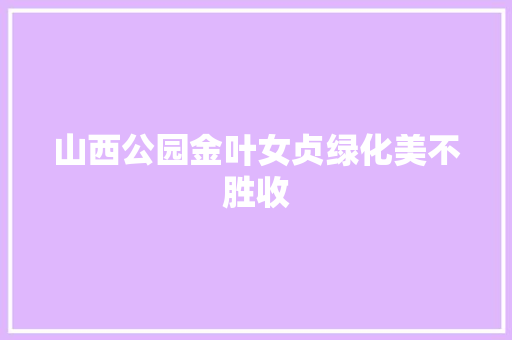 山西公园金叶女贞绿化美不胜收