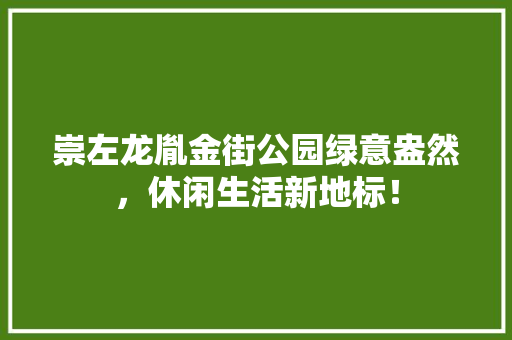 崇左龙胤金街公园绿意盎然，休闲生活新地标！