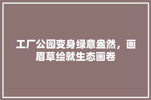 工厂公园变身绿意盎然，画眉草绘就生态画卷