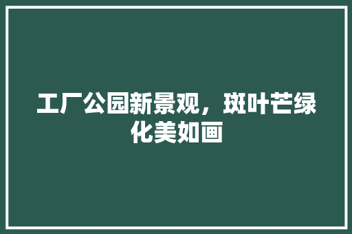 工厂公园新景观，斑叶芒绿化美如画