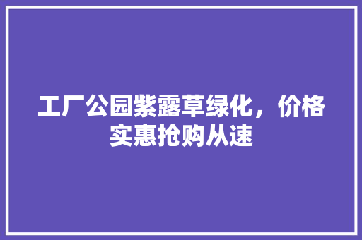 工厂公园紫露草绿化，价格实惠抢购从速
