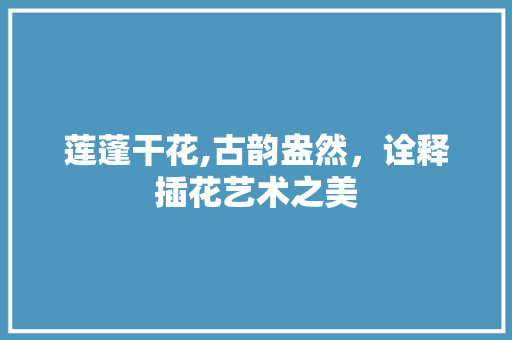 莲蓬干花,古韵盎然，诠释插花艺术之美
