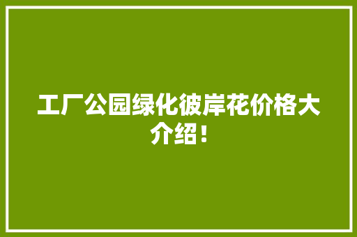 工厂公园绿化彼岸花价格大介绍！