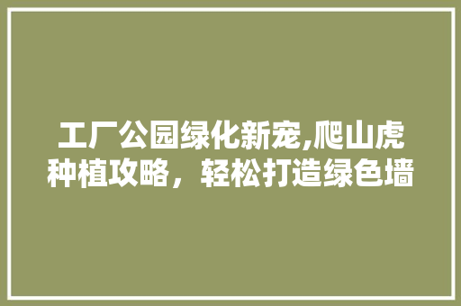工厂公园绿化新宠,爬山虎种植攻略，轻松打造绿色墙面