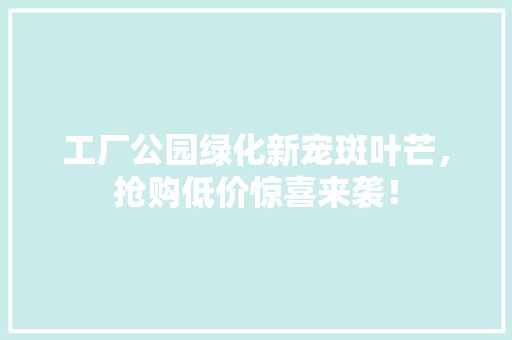 工厂公园绿化新宠斑叶芒，抢购低价惊喜来袭！
