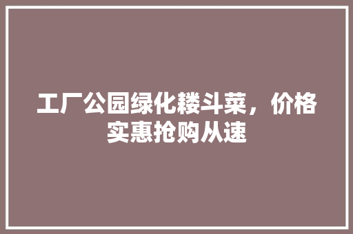 工厂公园绿化耧斗菜，价格实惠抢购从速