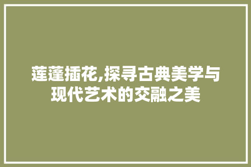 莲蓬插花,探寻古典美学与现代艺术的交融之美