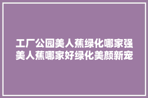 工厂公园美人蕉绿化哪家强美人蕉哪家好绿化美颜新宠！