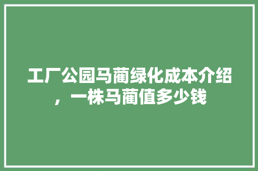 工厂公园马蔺绿化成本介绍，一株马蔺值多少钱
