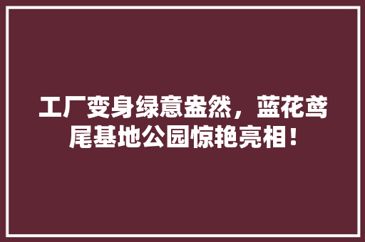 工厂变身绿意盎然，蓝花鸢尾基地公园惊艳亮相！