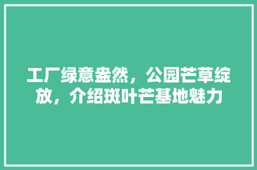 工厂绿意盎然，公园芒草绽放，介绍斑叶芒基地魅力