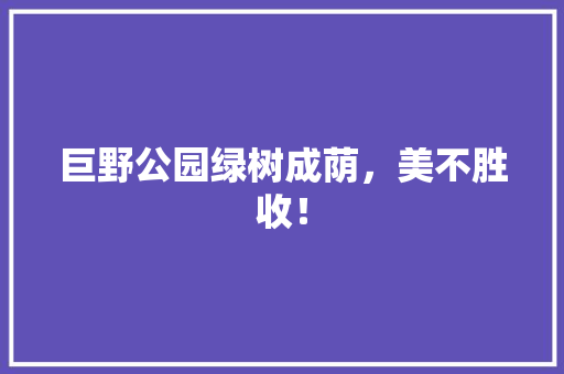 巨野公园绿树成荫，美不胜收！
