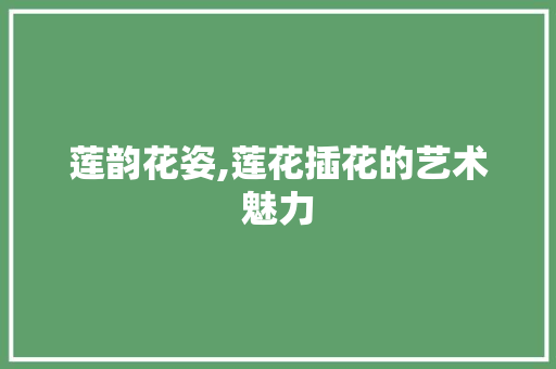 莲韵花姿,莲花插花的艺术魅力