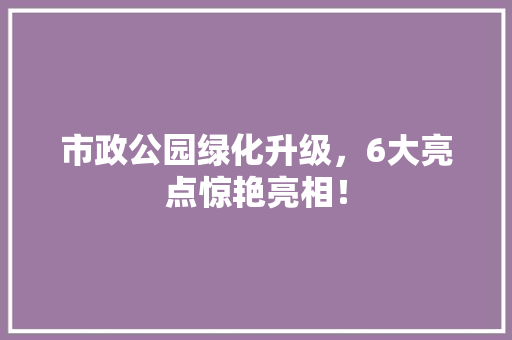 市政公园绿化升级，6大亮点惊艳亮相！